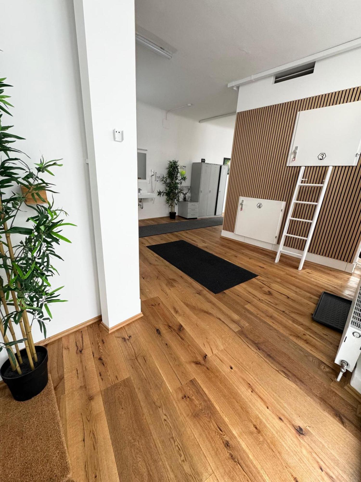 Robin Wood Apartment Wien Eksteriør billede